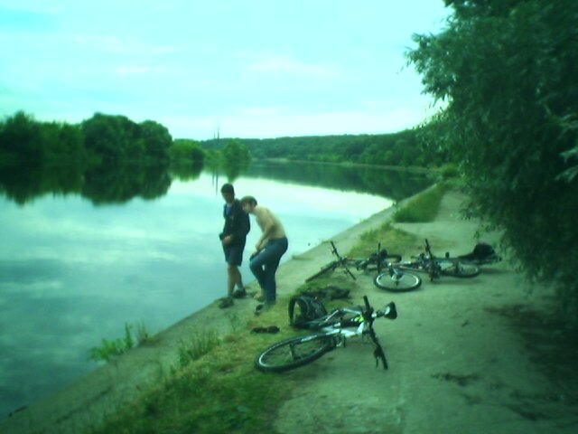 Все в лес...то есть в воду