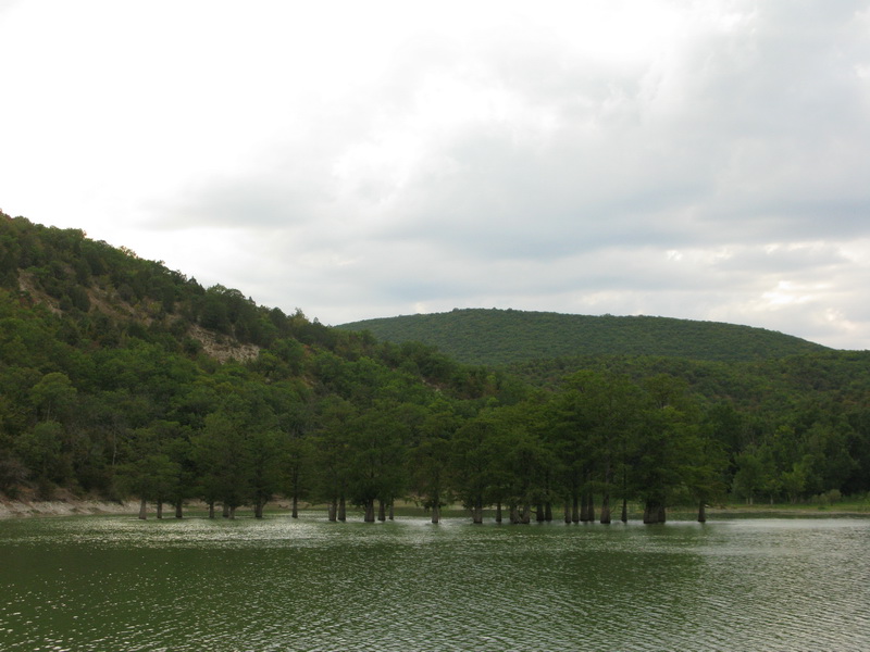 Водные кипарисы на озере Сукко